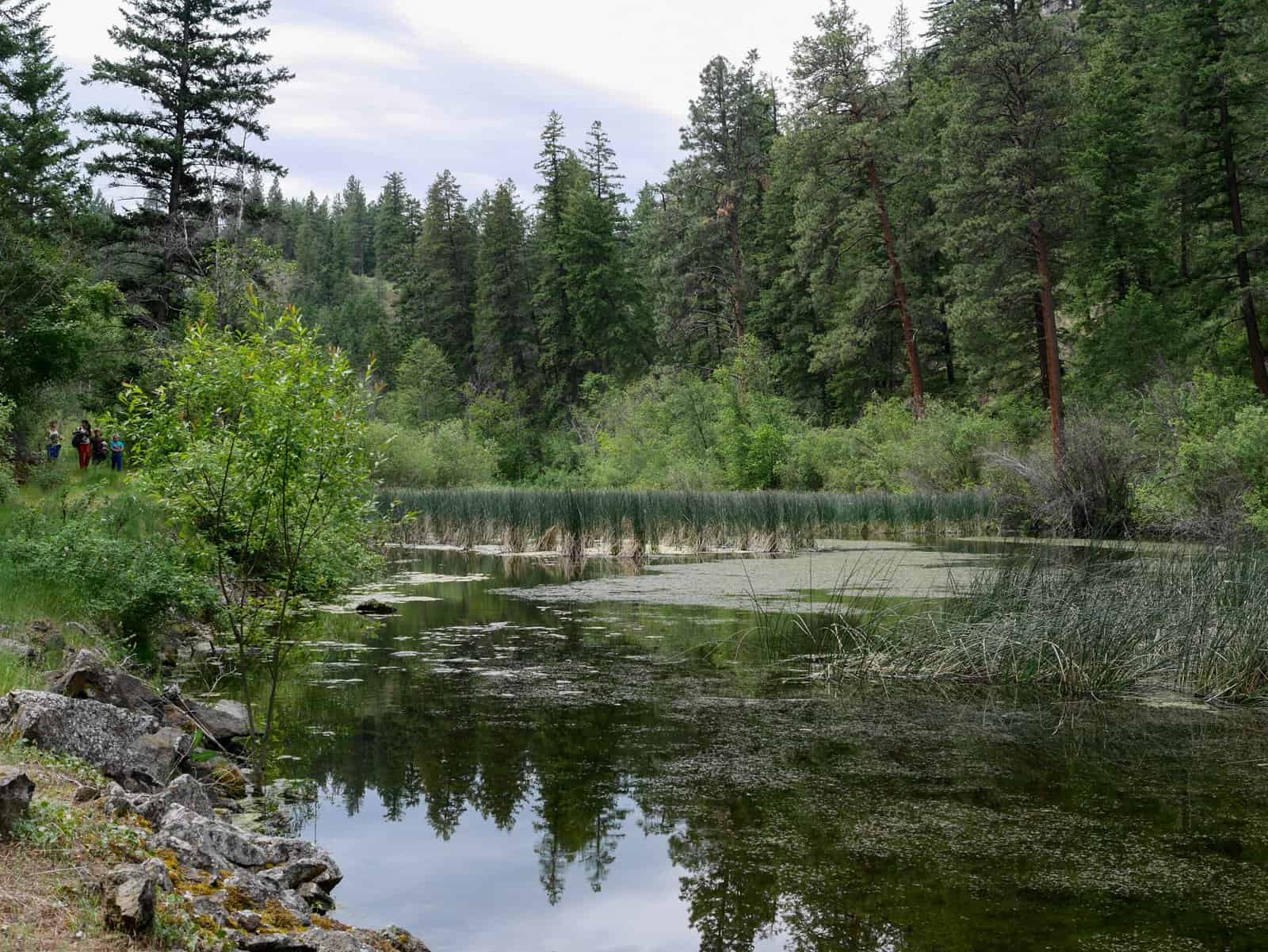 Hiking at Mountain Springs Nature Retreat