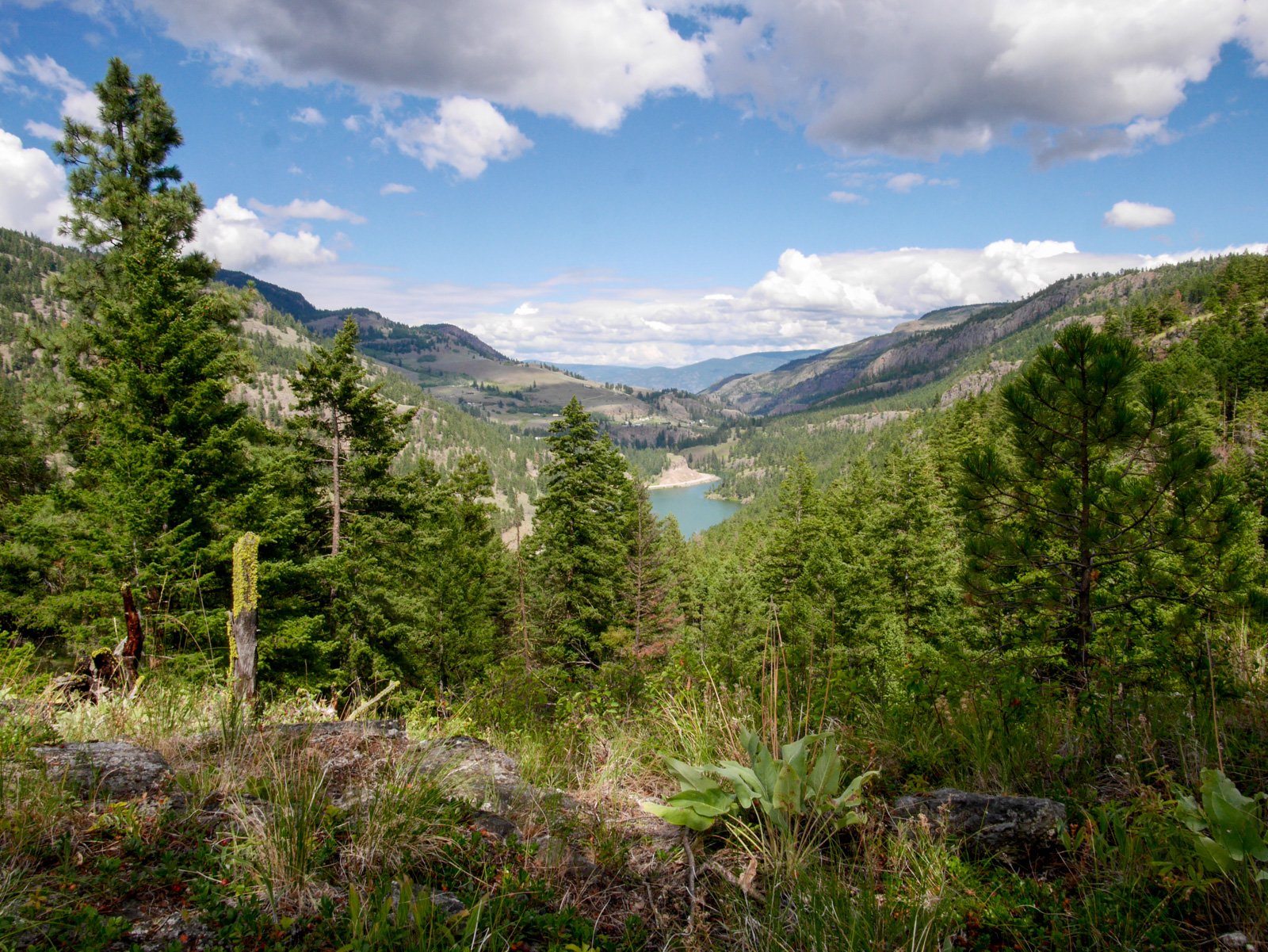 Hiking at Yellow Lake