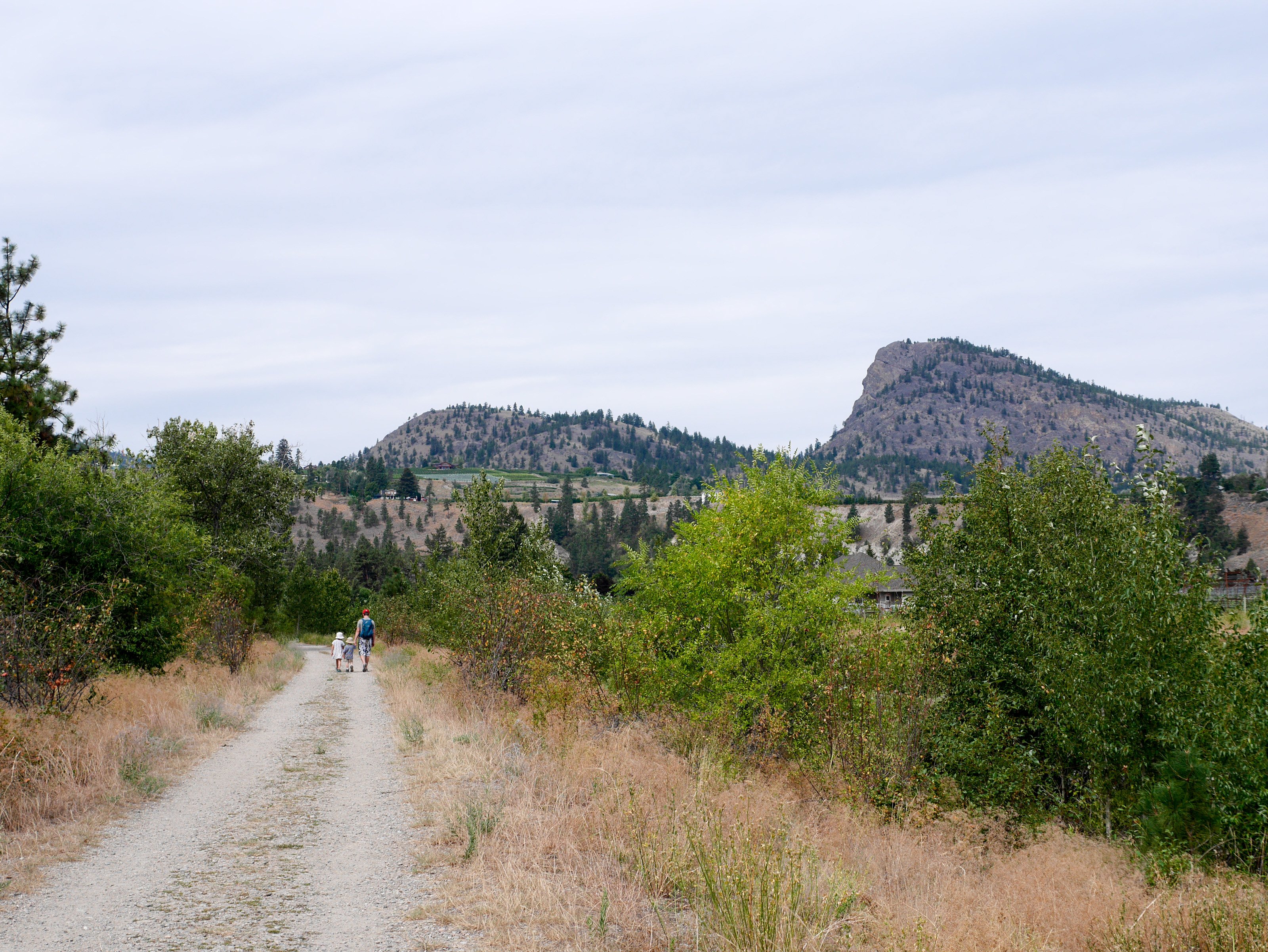 Hiking the Trout Creek Trail in Summerland