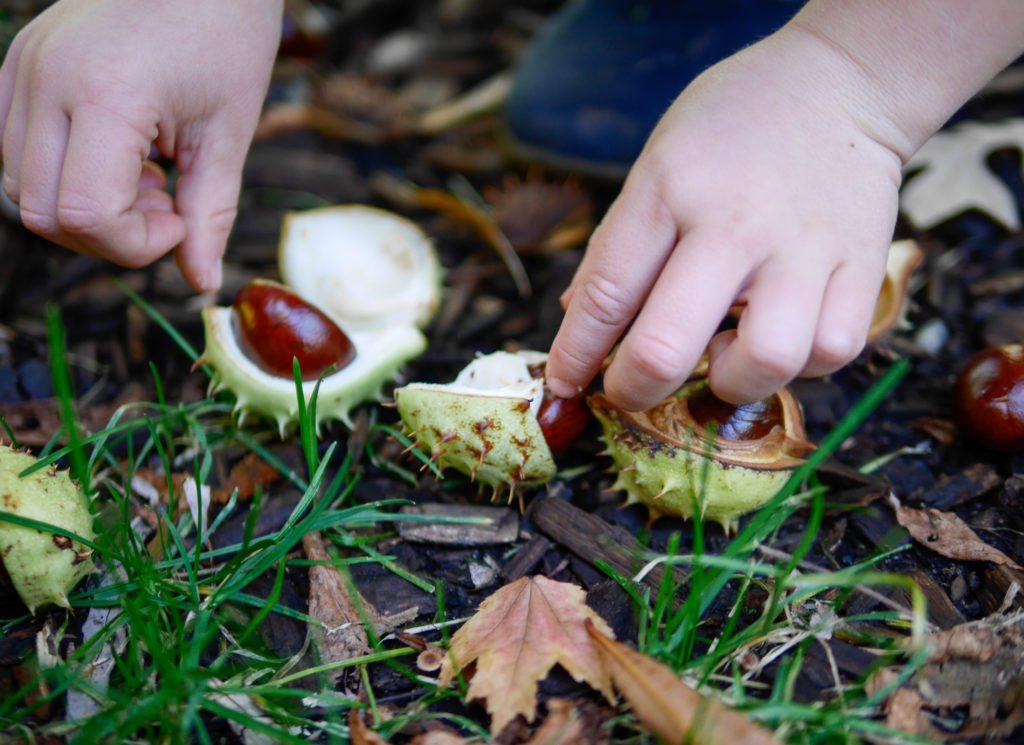 lindengarden-10-of-12