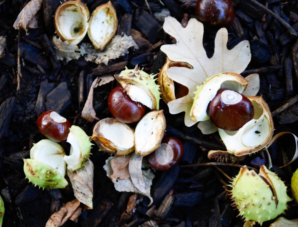 lindengarden-11-of-12