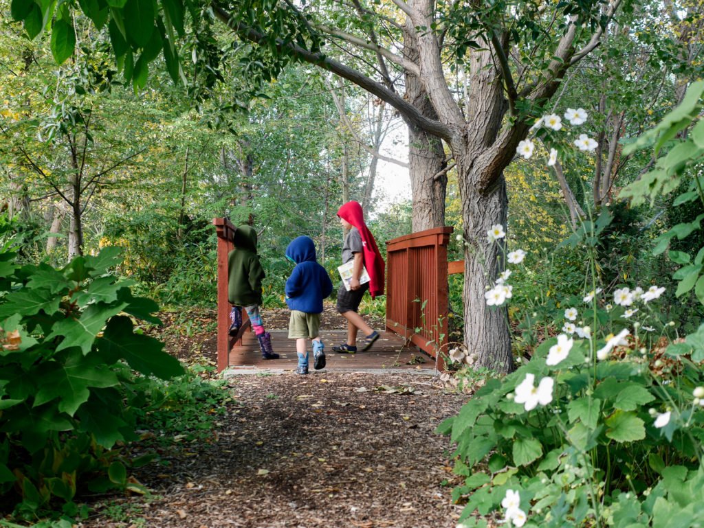 lindengarden-12-of-12