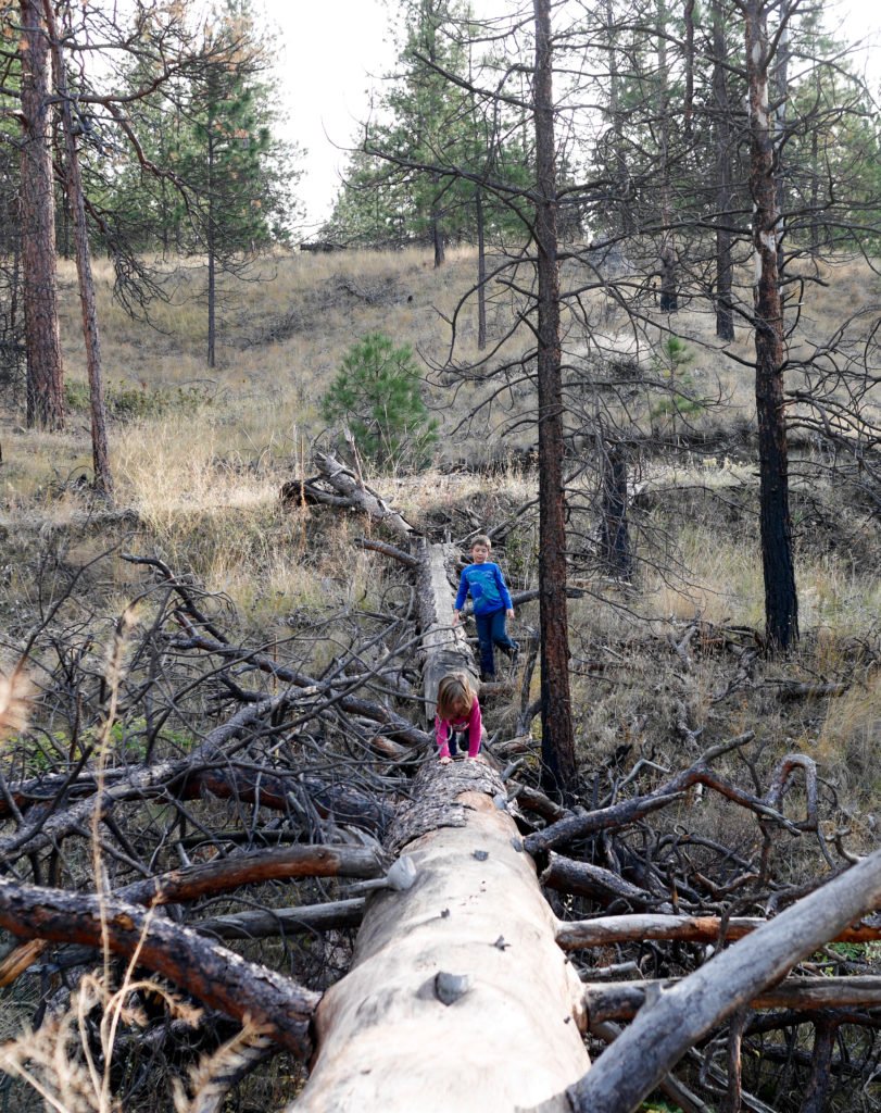 fallfamilywalk-16-of-18