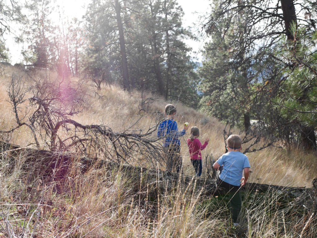 fallfamilywalk-2-of-18