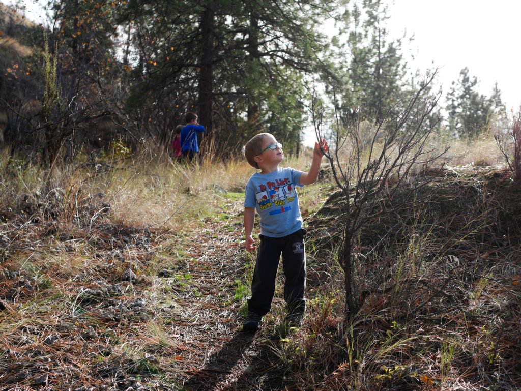 fallfamilywalk-3-of-18