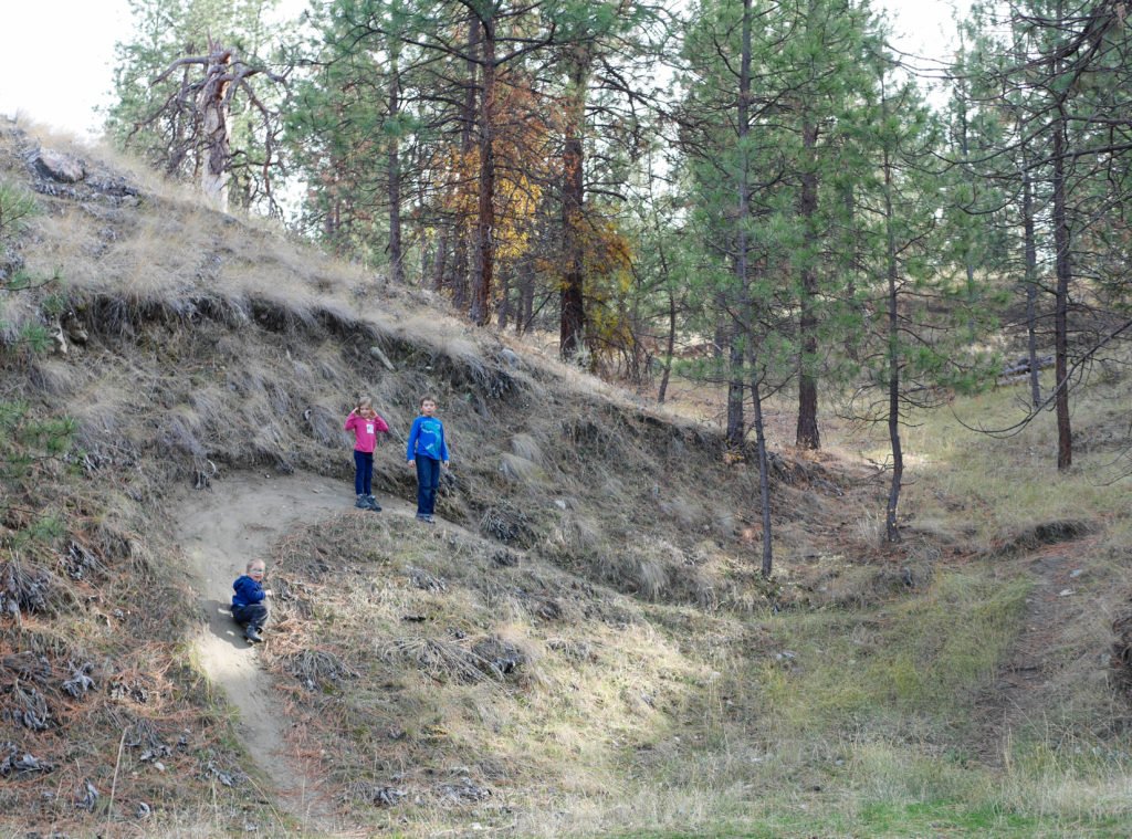 fallfamilywalk-6-of-18