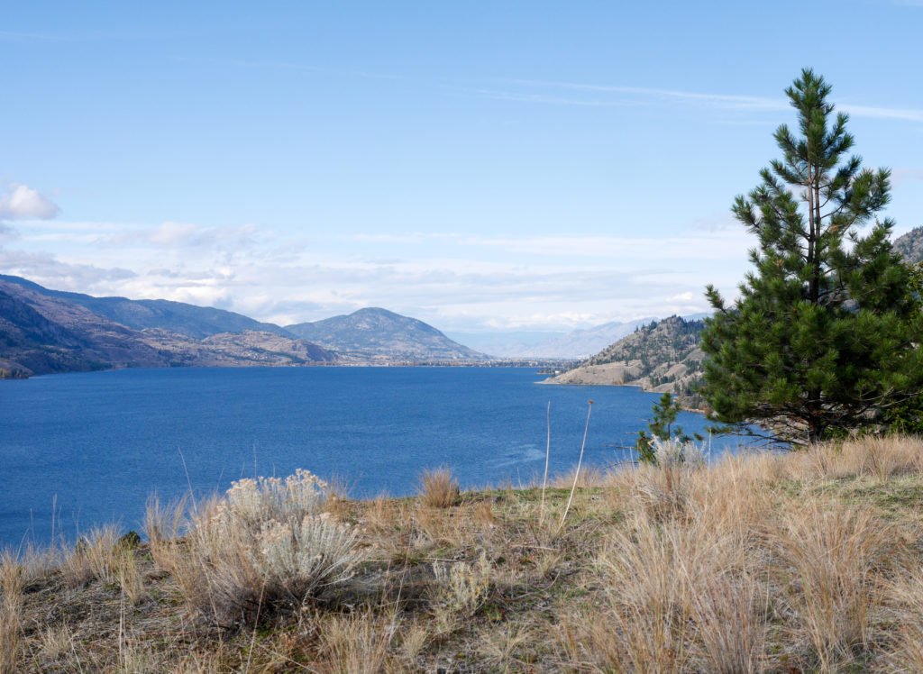 fallfamilywalk-9-of-18