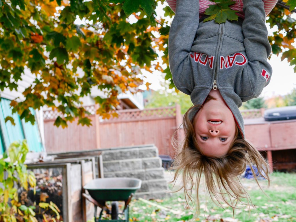 backyardleaves-1-of-1