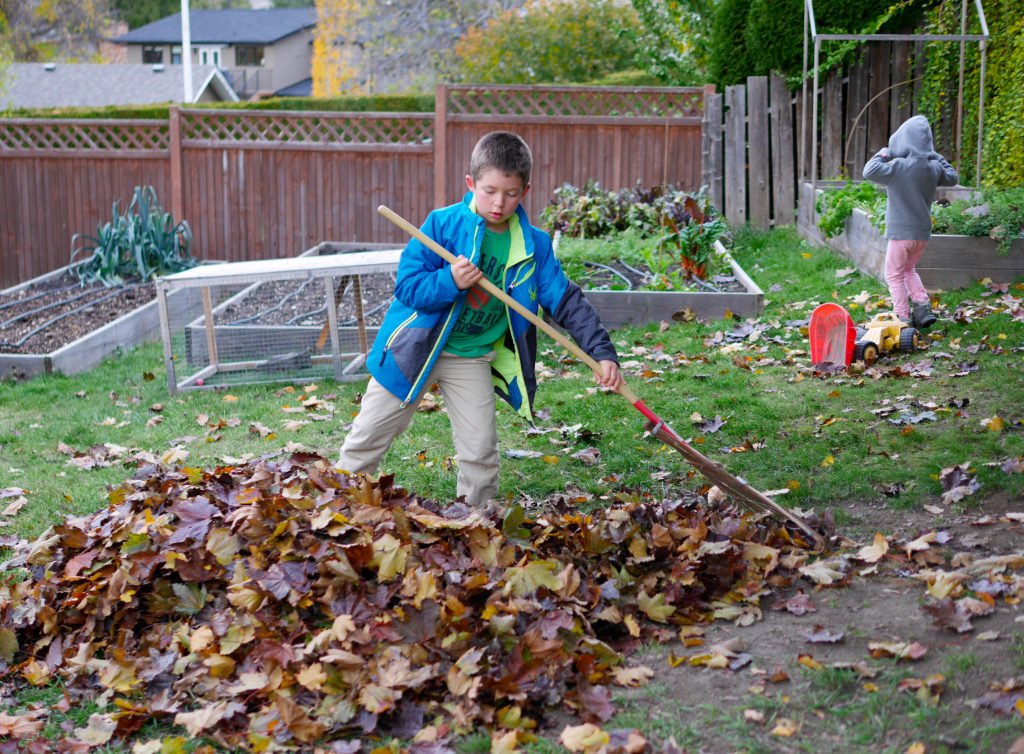 backyardleaves-1-of-1