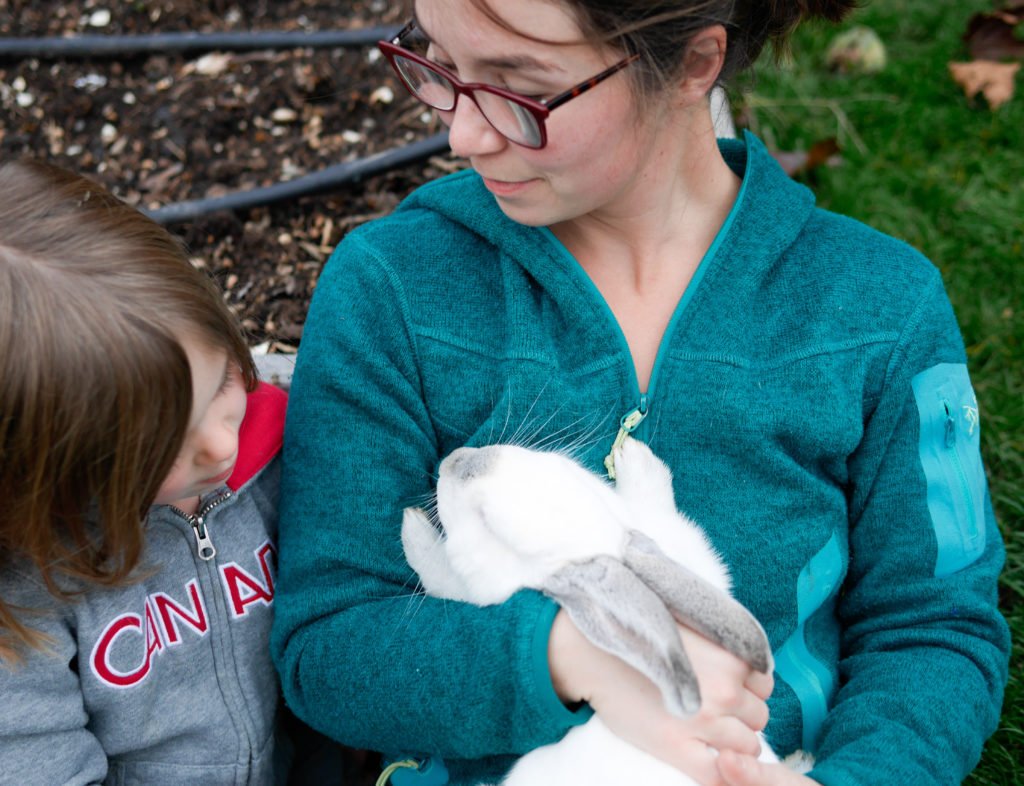 backyardleaves-1-of-1