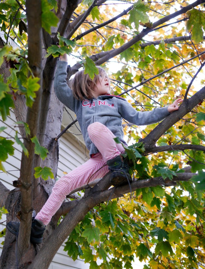 backyardleaves-4-of-10