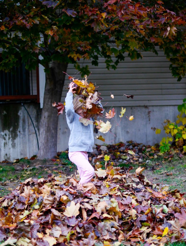 backyardleaves-5-of-10