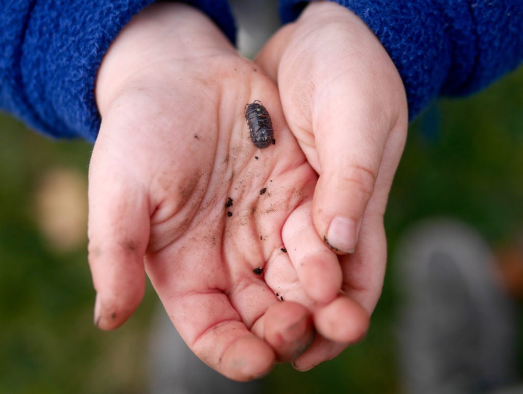 backyardleaves-6-of-10