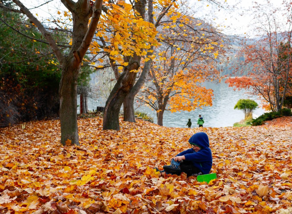 discoverypark-3-of-10