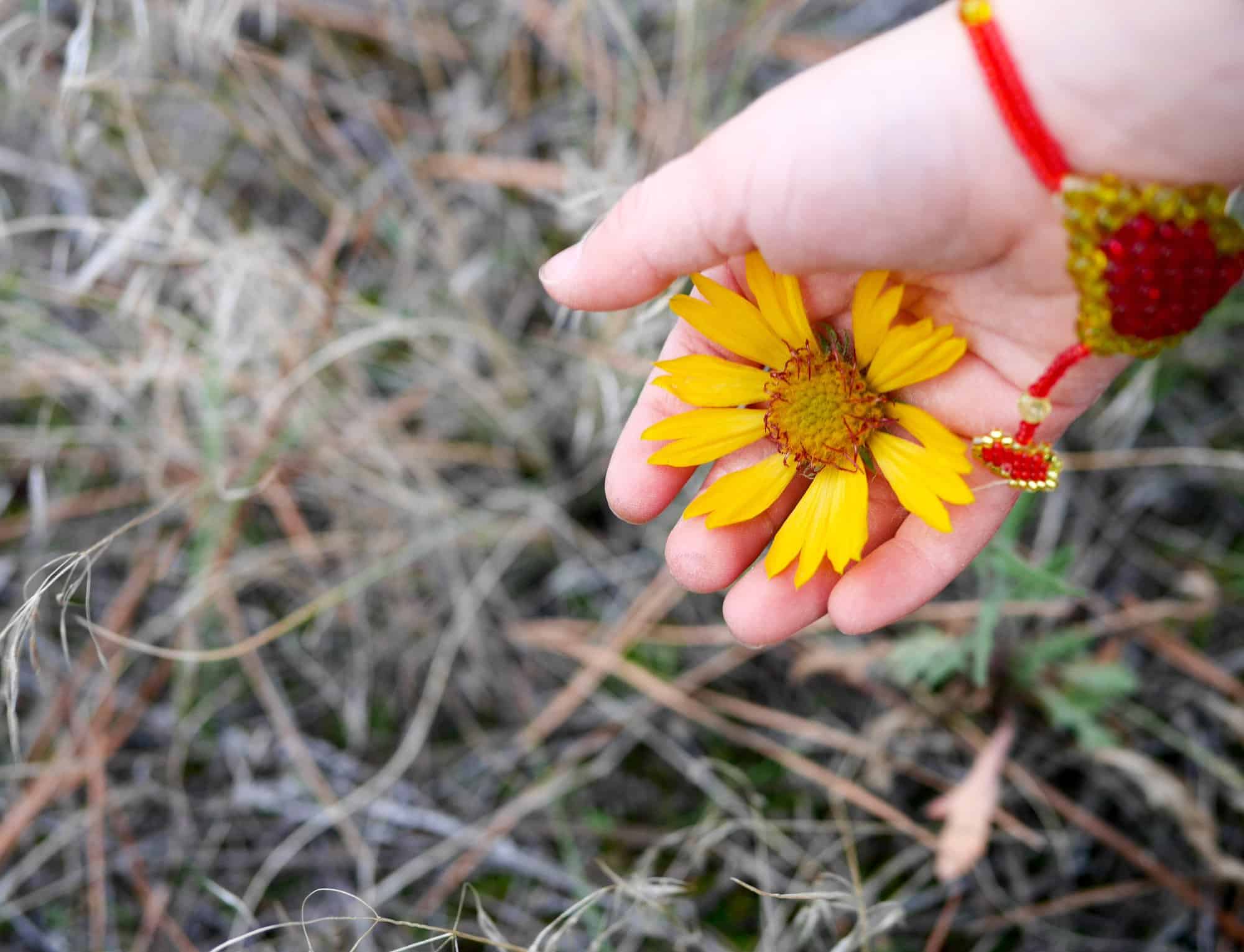 Our First Week of #FallOutside2016