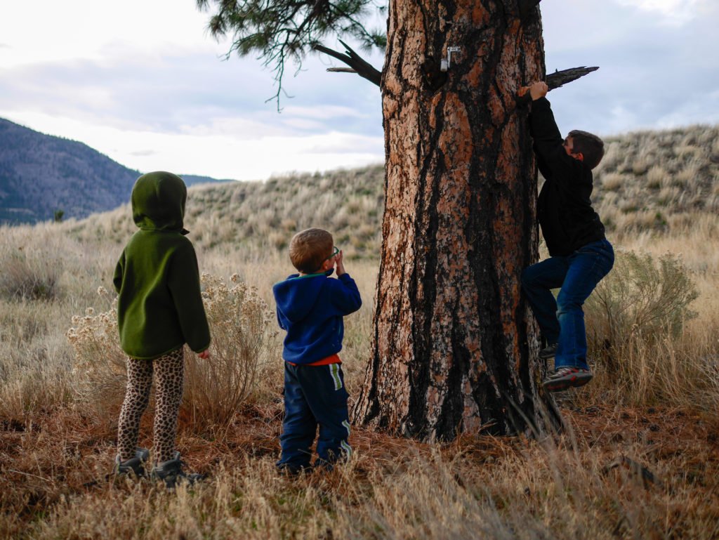 falloutside2016-11-of-11