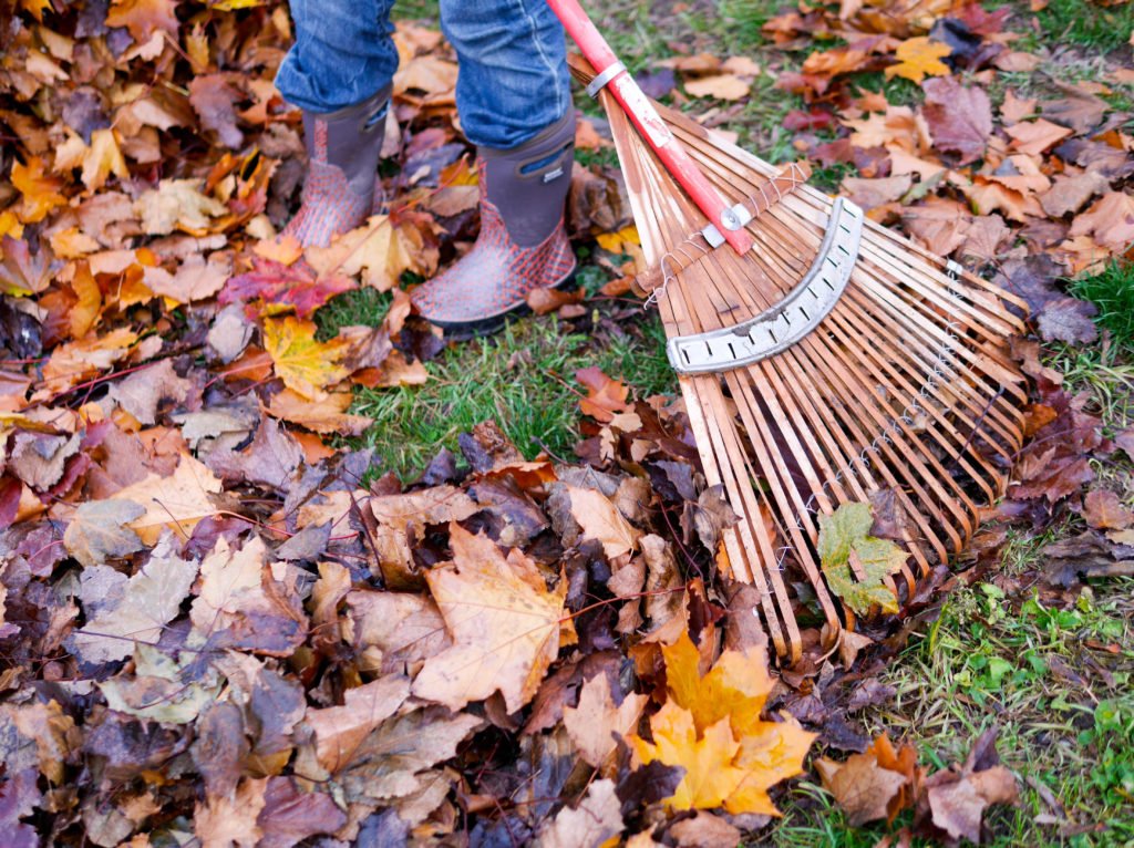 falloutside2016-week2-2-of-4