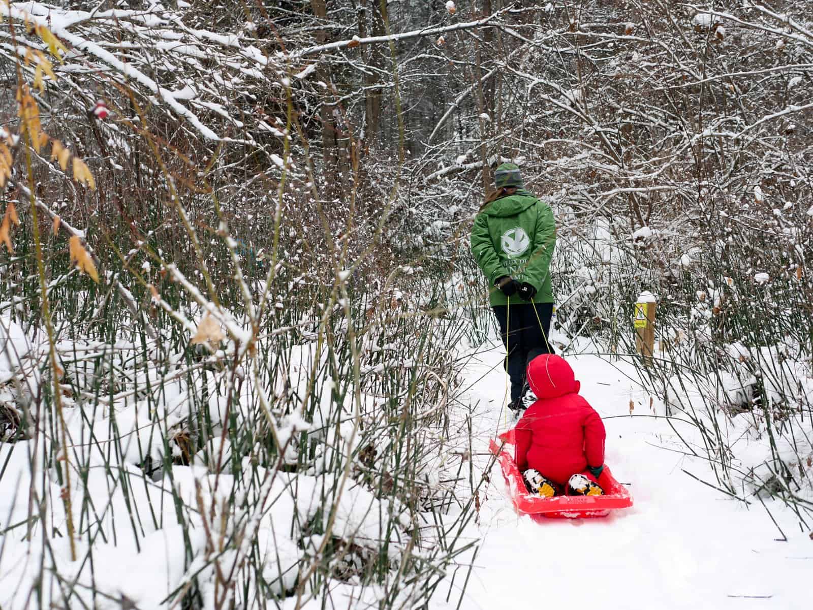 Naramata Creek Park in the Winter
