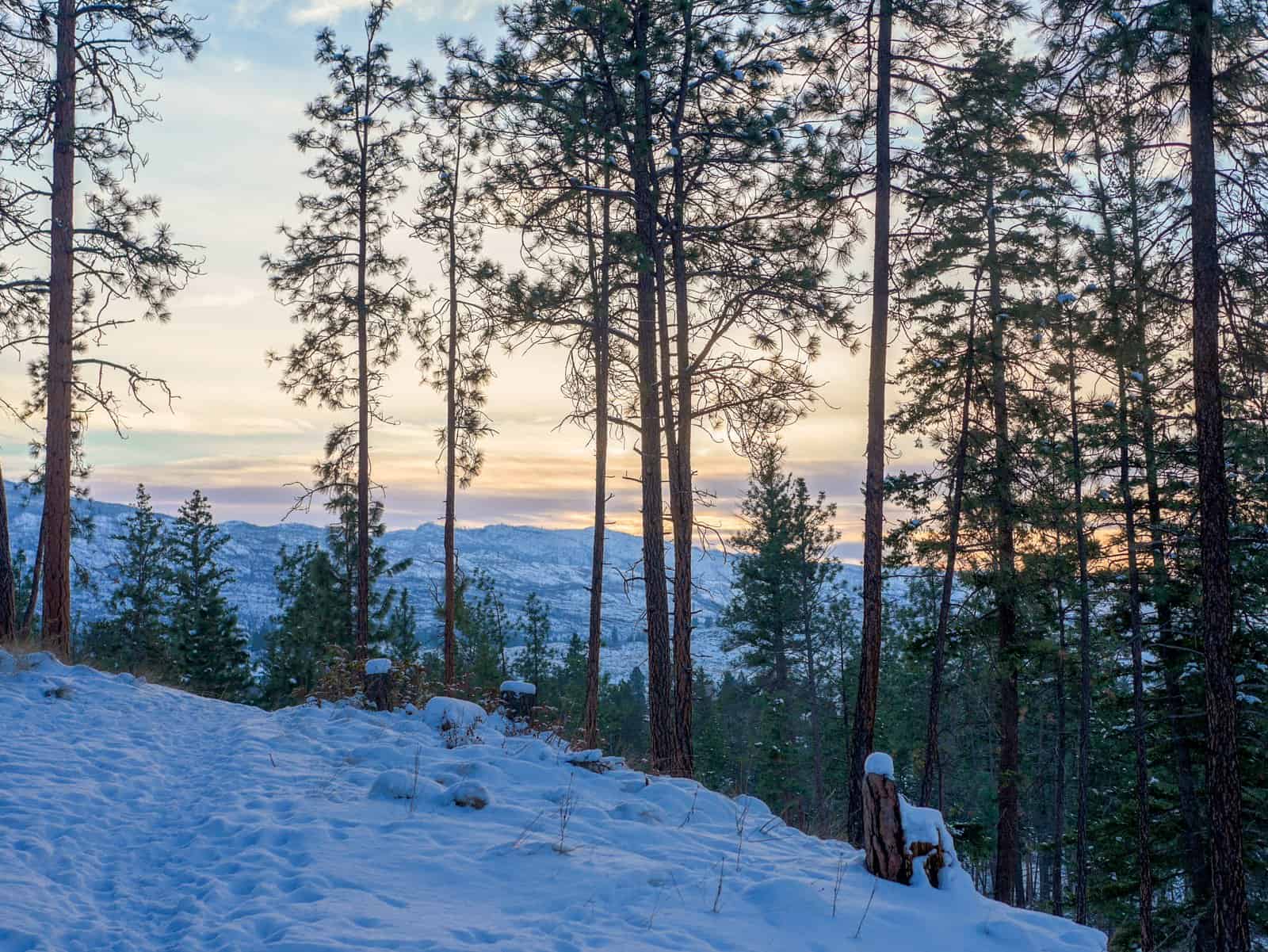 Myra-Bellevue Provincial Park: Interpretive Trail