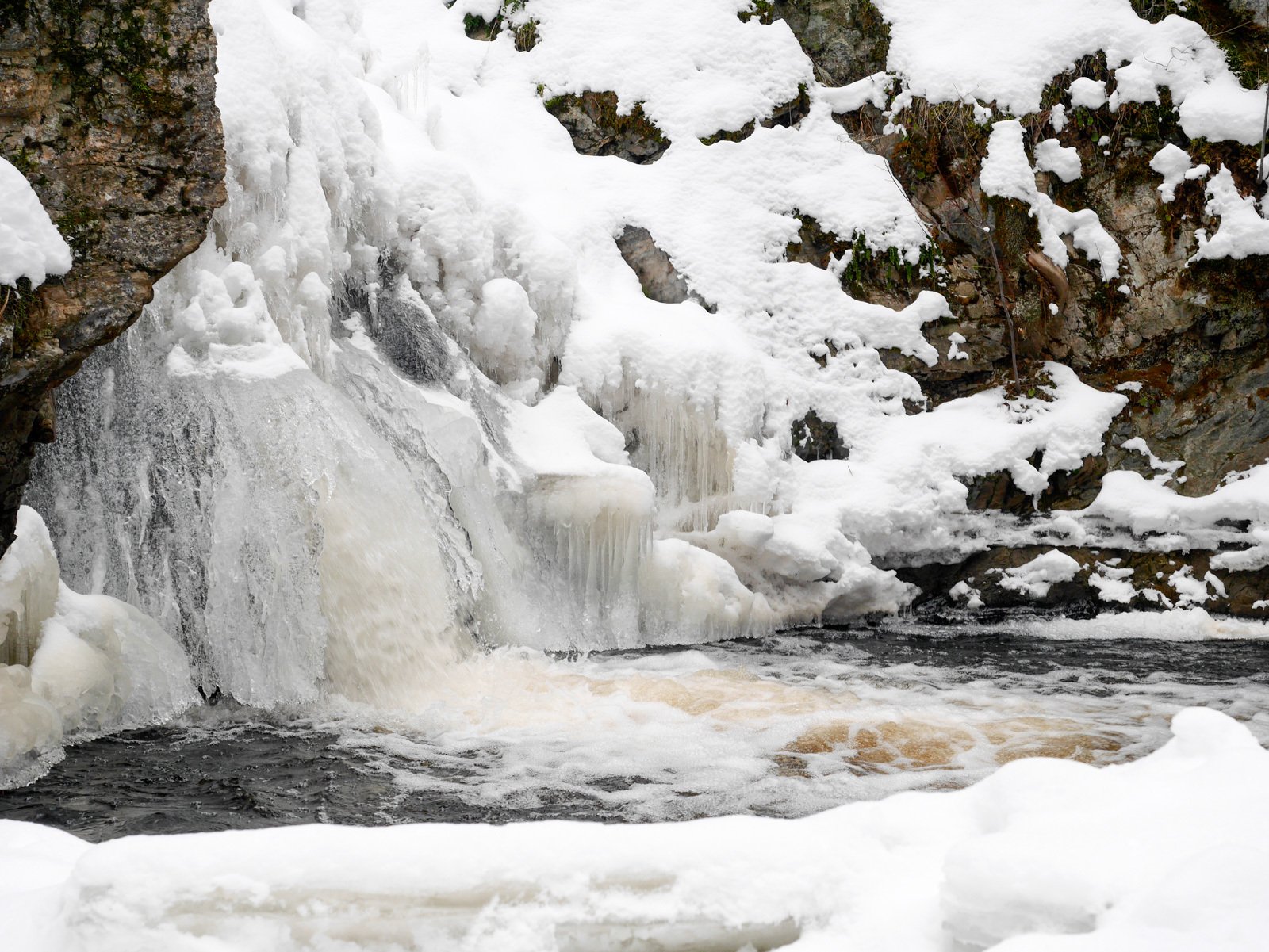 Mill Creek Regional Park