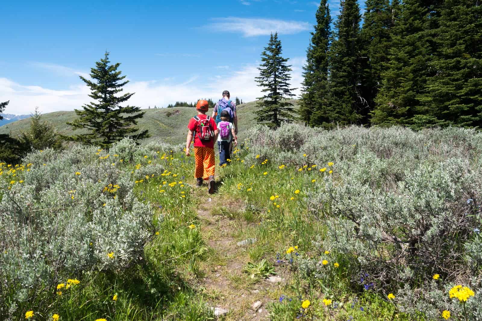 Hiking Mount Kobau: The (New) Chopaka Lookout Trail