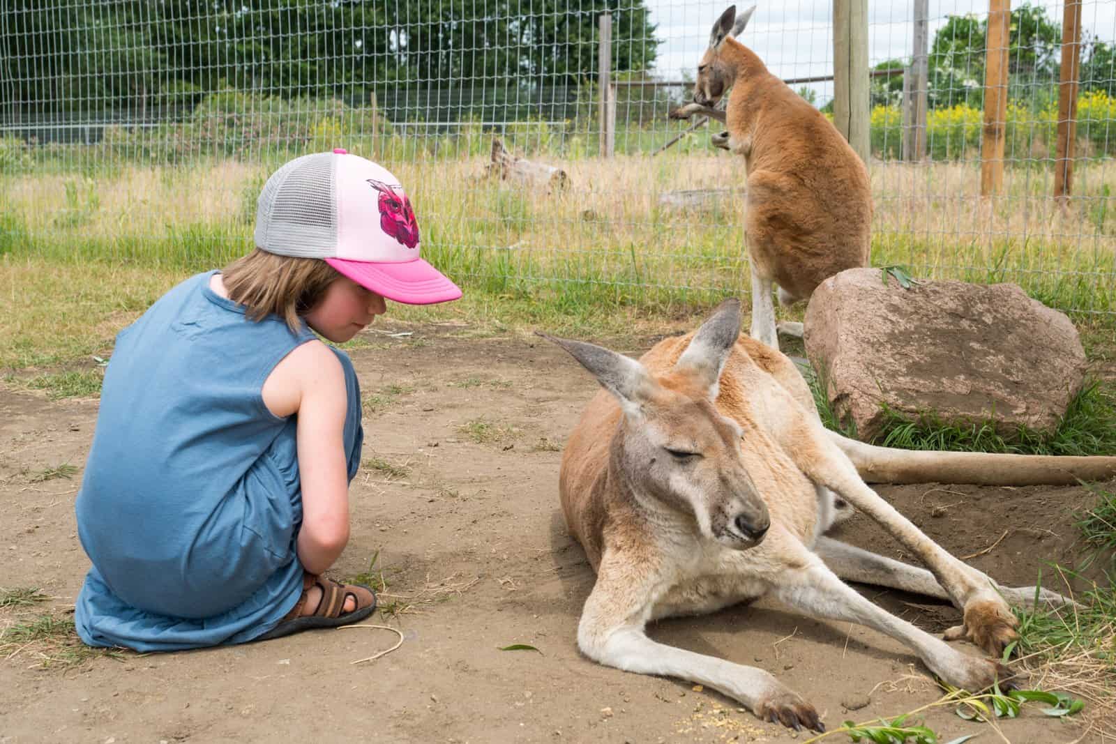 5 Tips for Visiting Kangaroo Creek Farm in Lake Country, BC