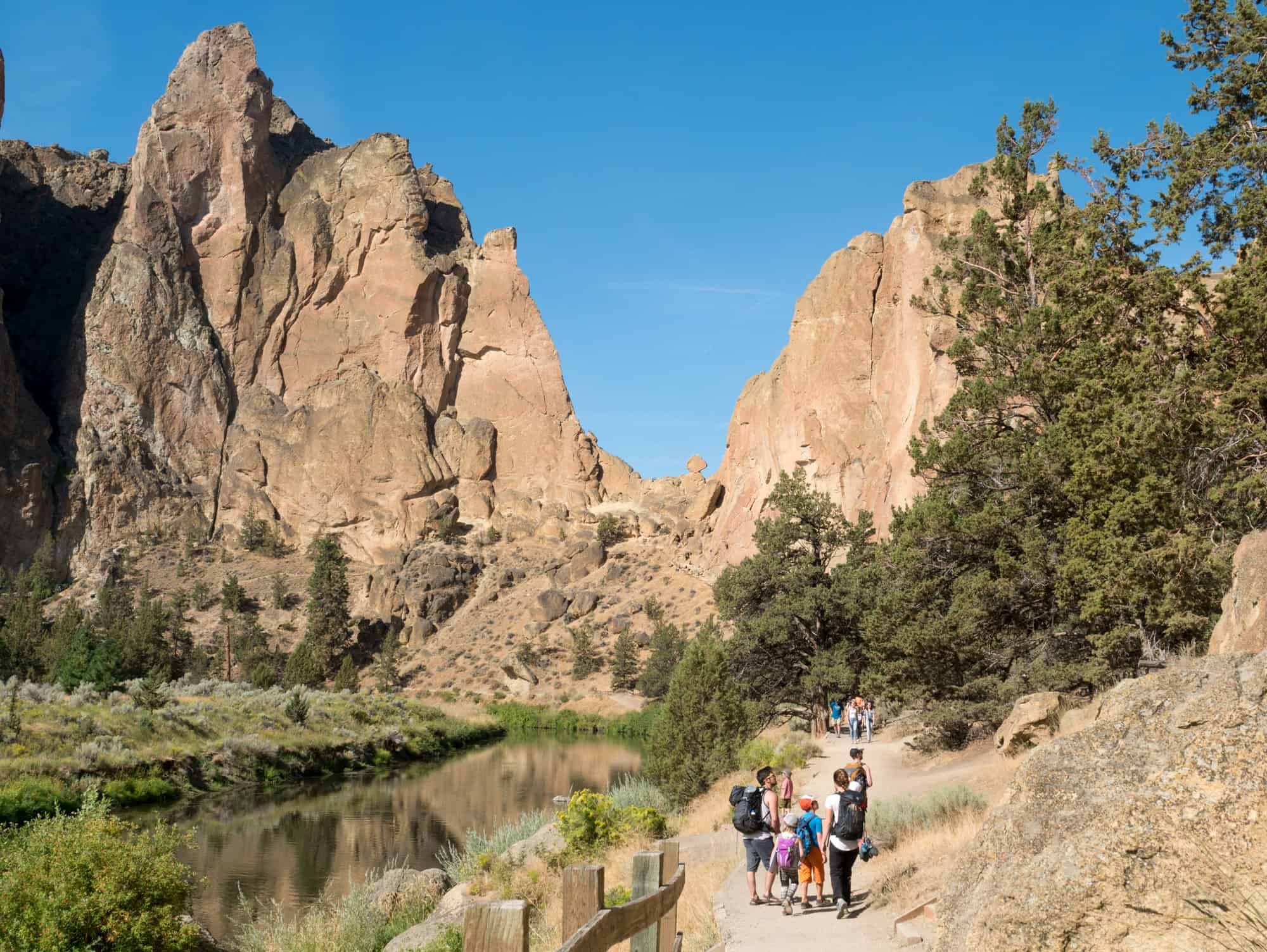 I’m Scared! My Story of Overcoming Fear and Exploring Nature with my Kids