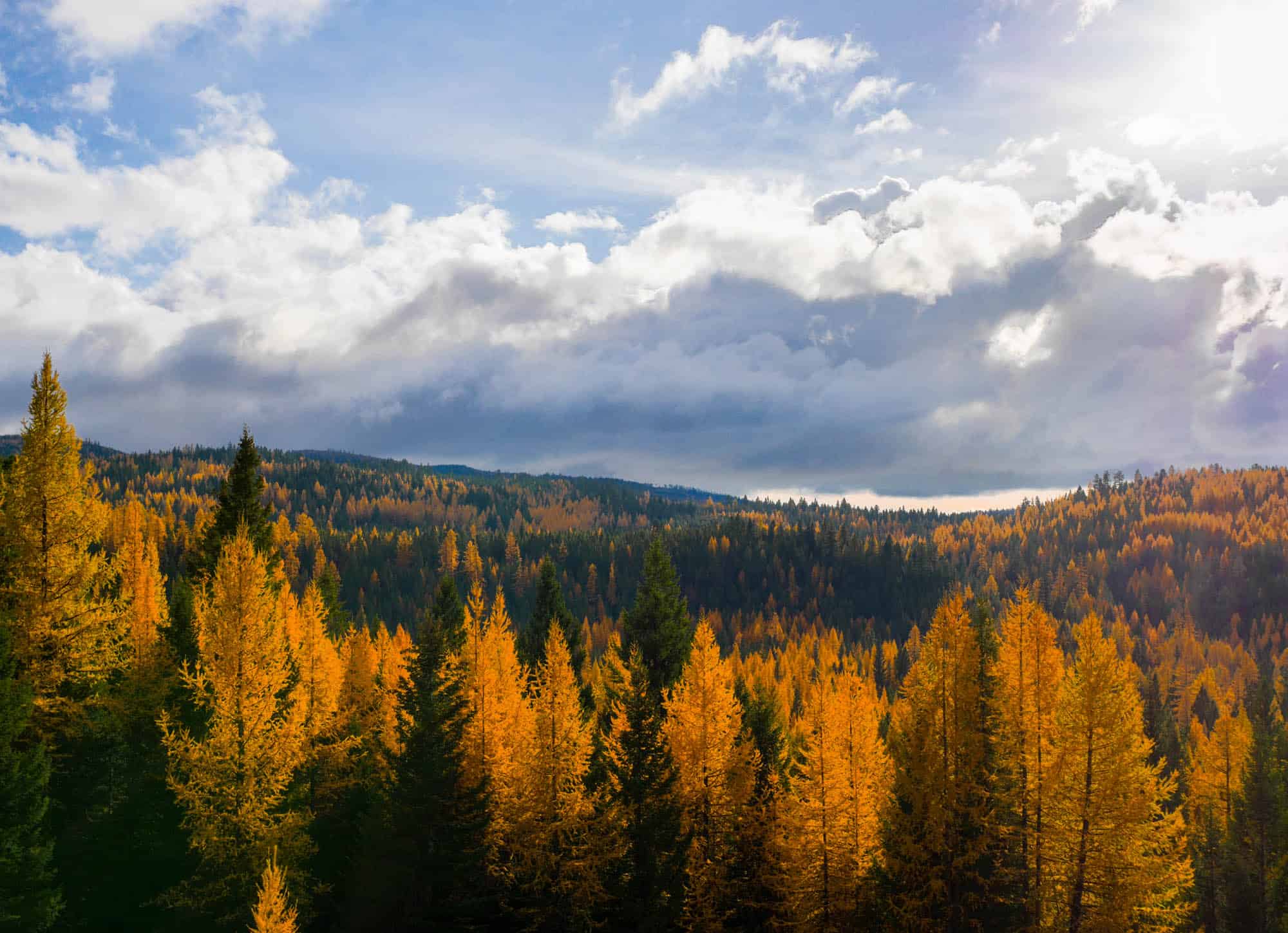 20 Autumn Outdoor Adventures for Families by Backwoods Mama