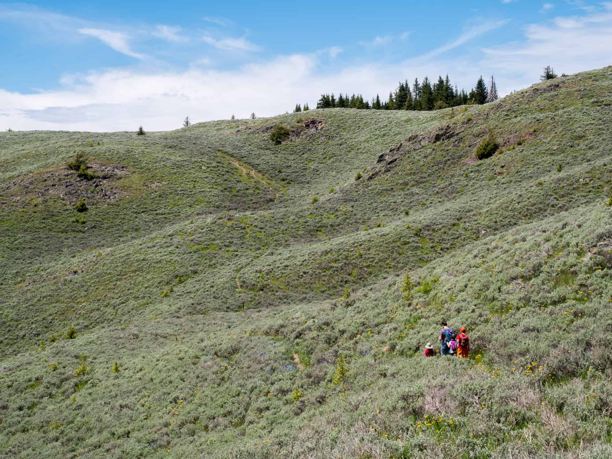 A National Park Reserve in the South Okanagan-Similkameen? Yes please!