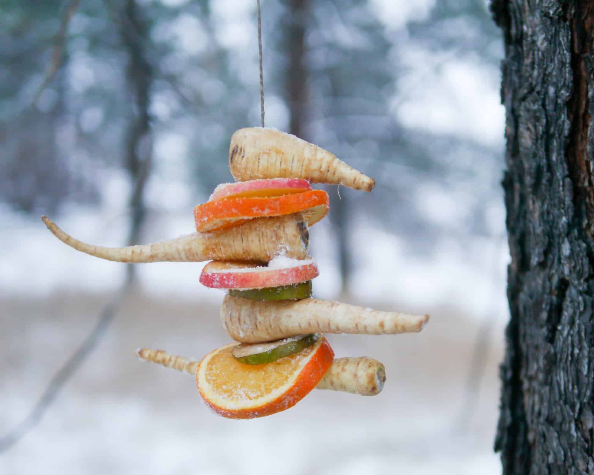 7+ Wonderful Ways to Celebrate Winter Solstice with Kids
