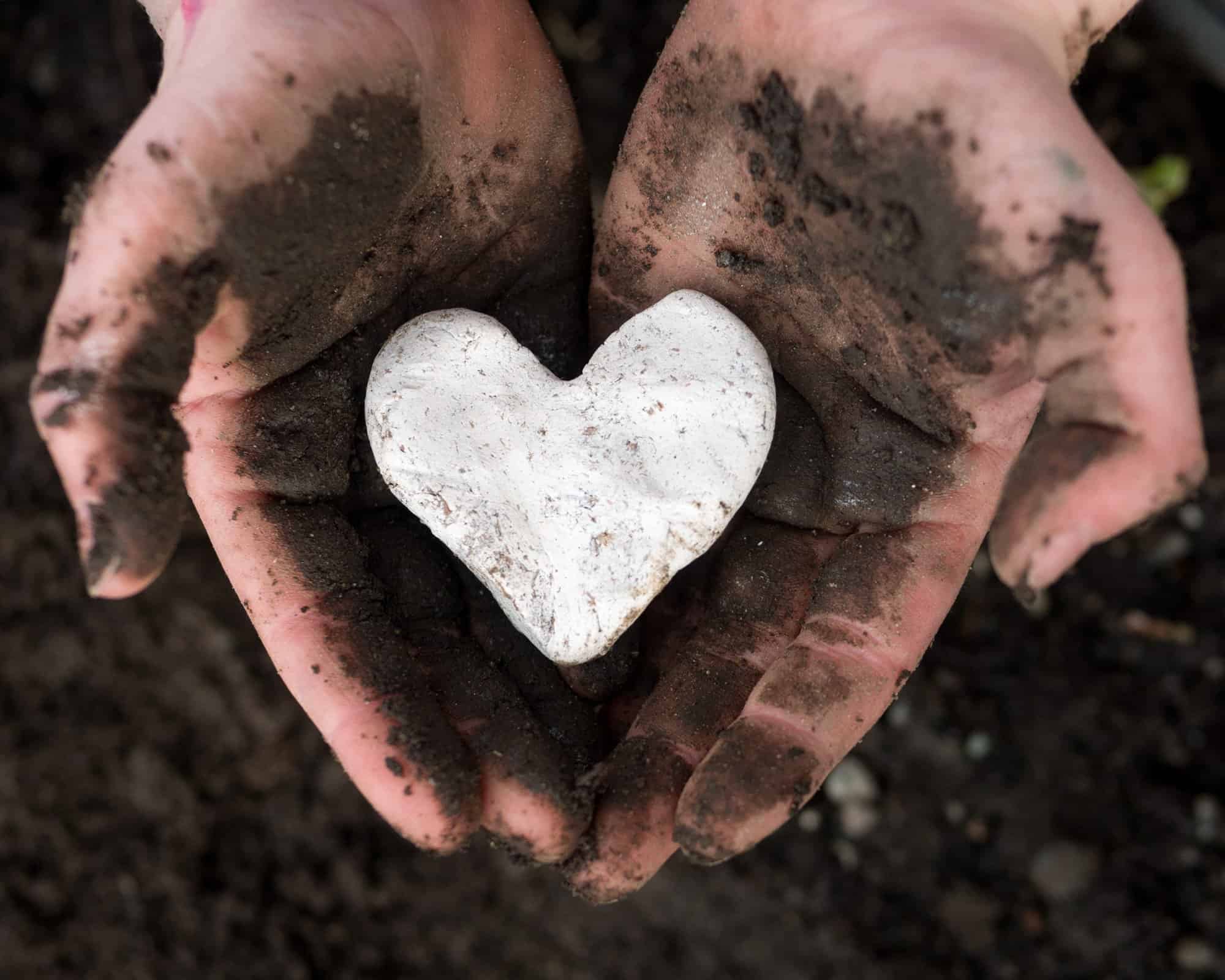 How-To Make Easy Heart Shaped Seed Bombs