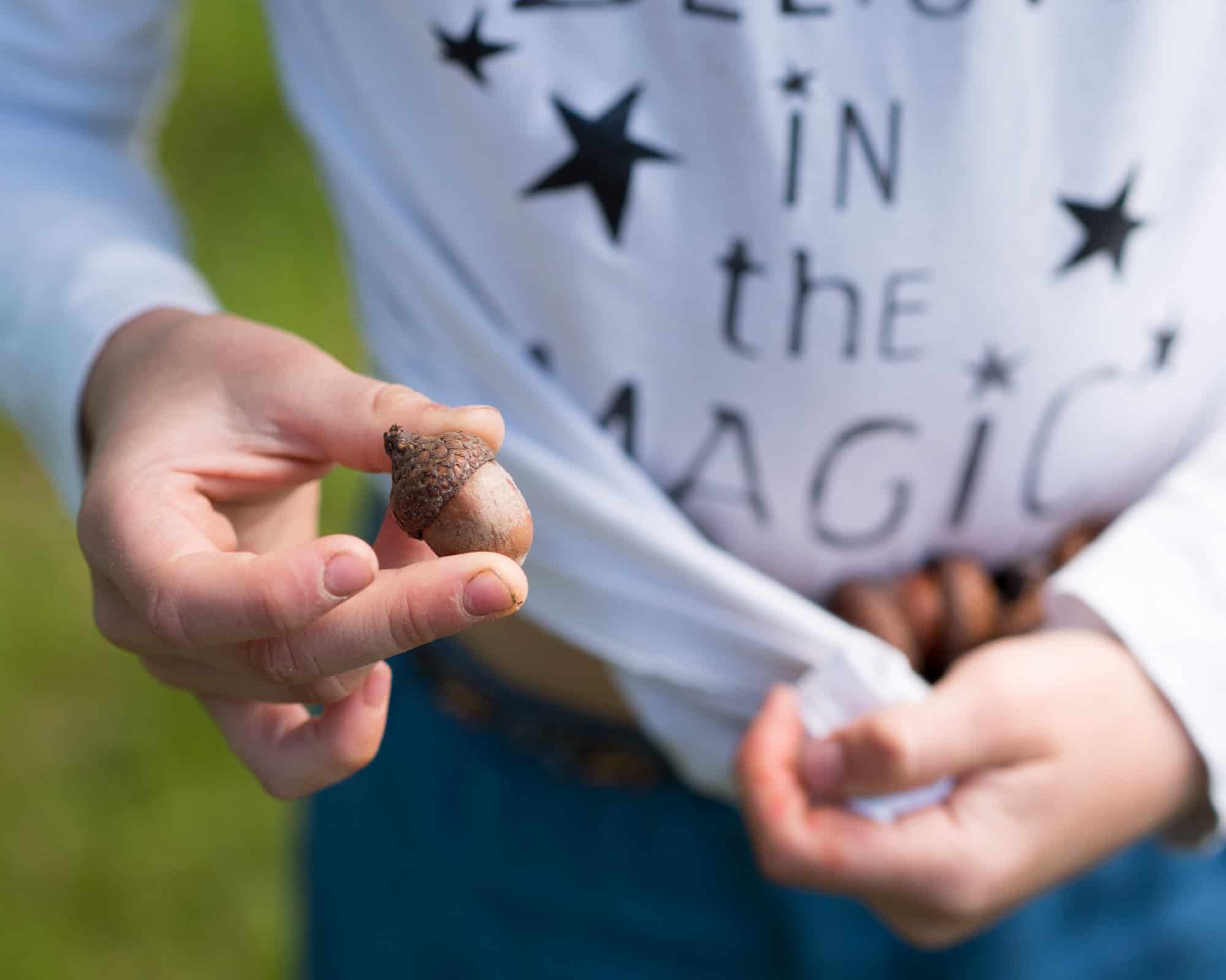How to Nurture Your Young Budding Naturalist: Books, Tools and Resources