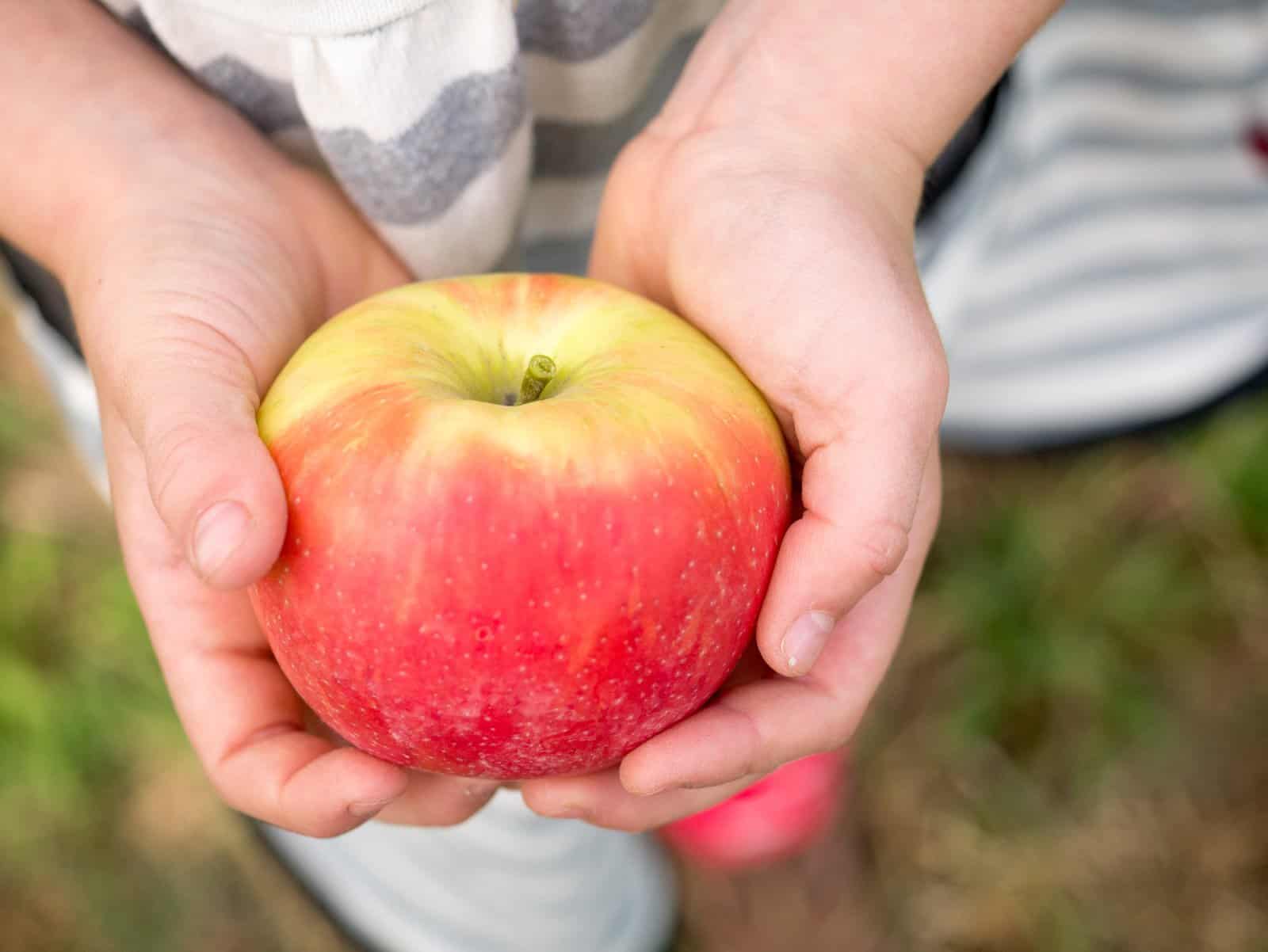 7 Special Ways to Celebrate the Autumn Equinox with Kids