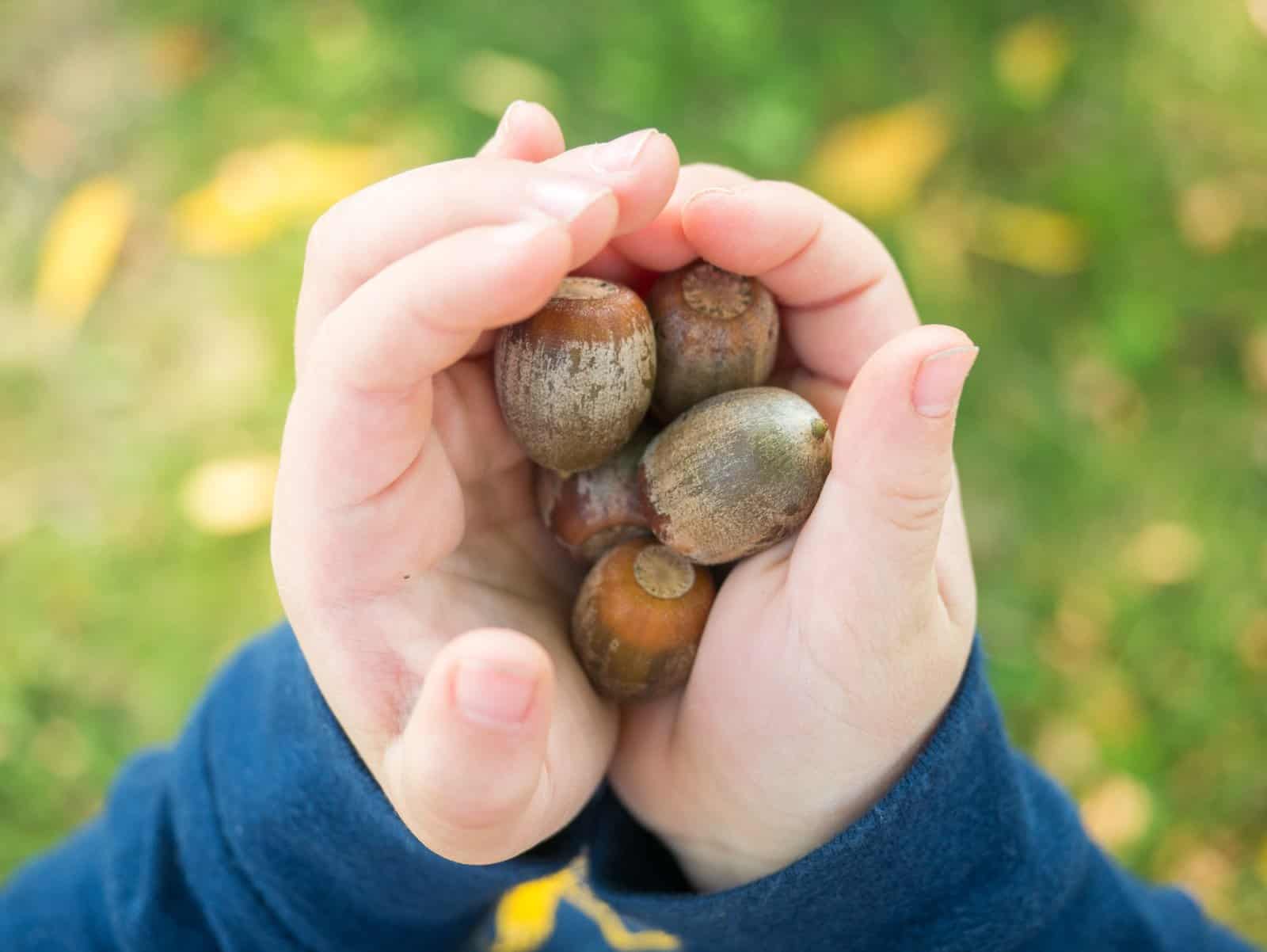 5 Must-Do Fall Activities that Will Get Kids Outside