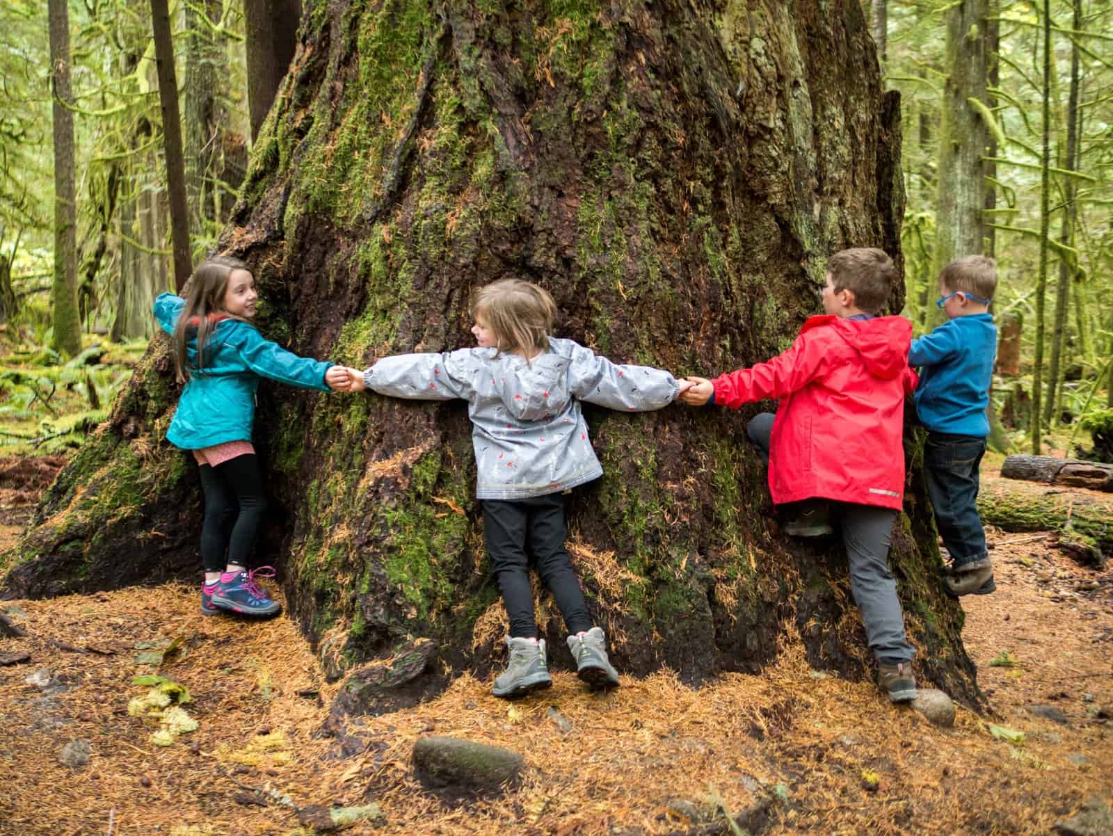 15+ Earth Day Activities for Kids that Foster a Connection to Nature