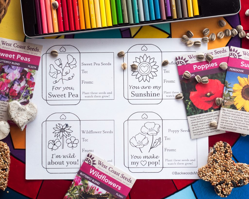 Printable Valentine Flower Seed Packets for Kids by Backwoods Mama Josée Bergeron