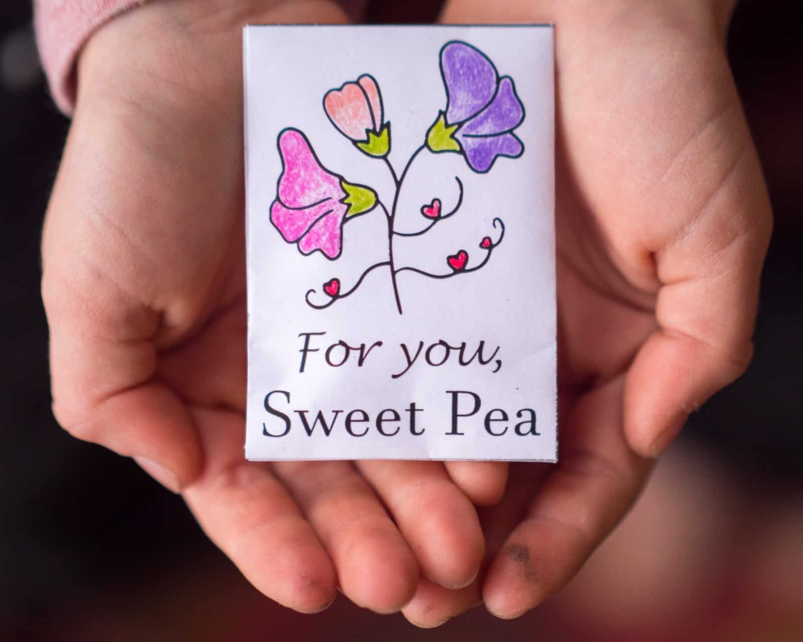 Printable Valentine Flower Seed Packets for Kids