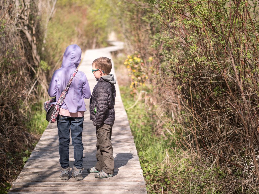 How Pokémon Can Get Kids Bird Watching by Backwoods Mama Josée Bergeron