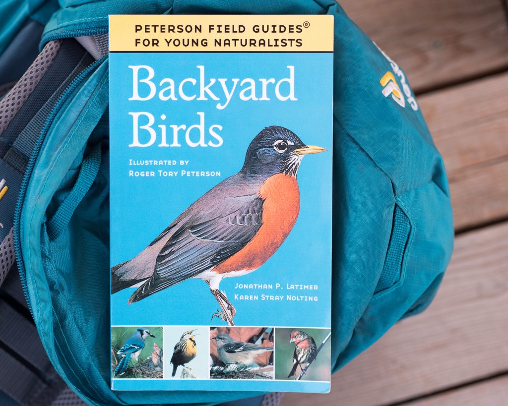 How Pokémon Can Get Kids Bird Watching by Backwoods Mama Josée Bergeron