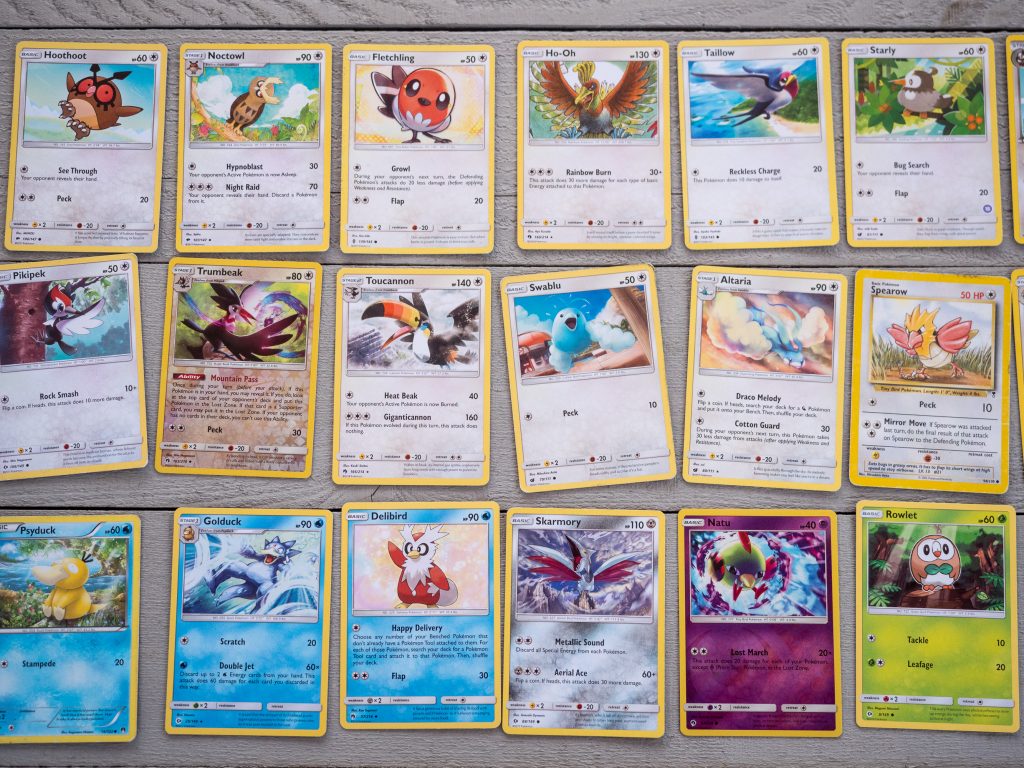 How Pokémon Can Get Kids Bird Watching by Backwoods Mama Josée Bergeron