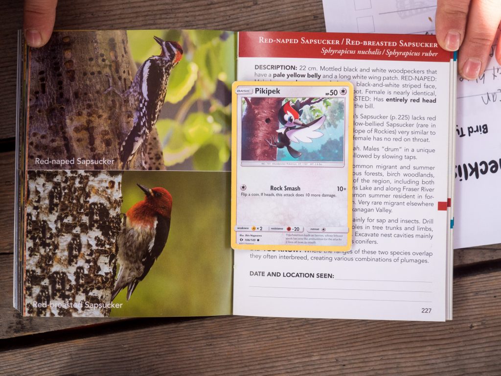 How Pokémon Can Get Kids Bird Watching by Backwoods Mama Josée Bergeron
