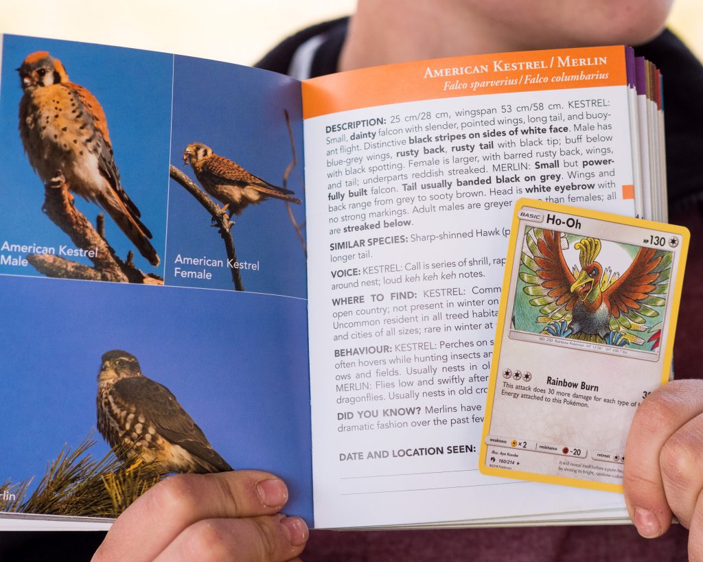 How Pokémon Can Get Kids Bird Watching by Backwoods Mama Josée Bergeron