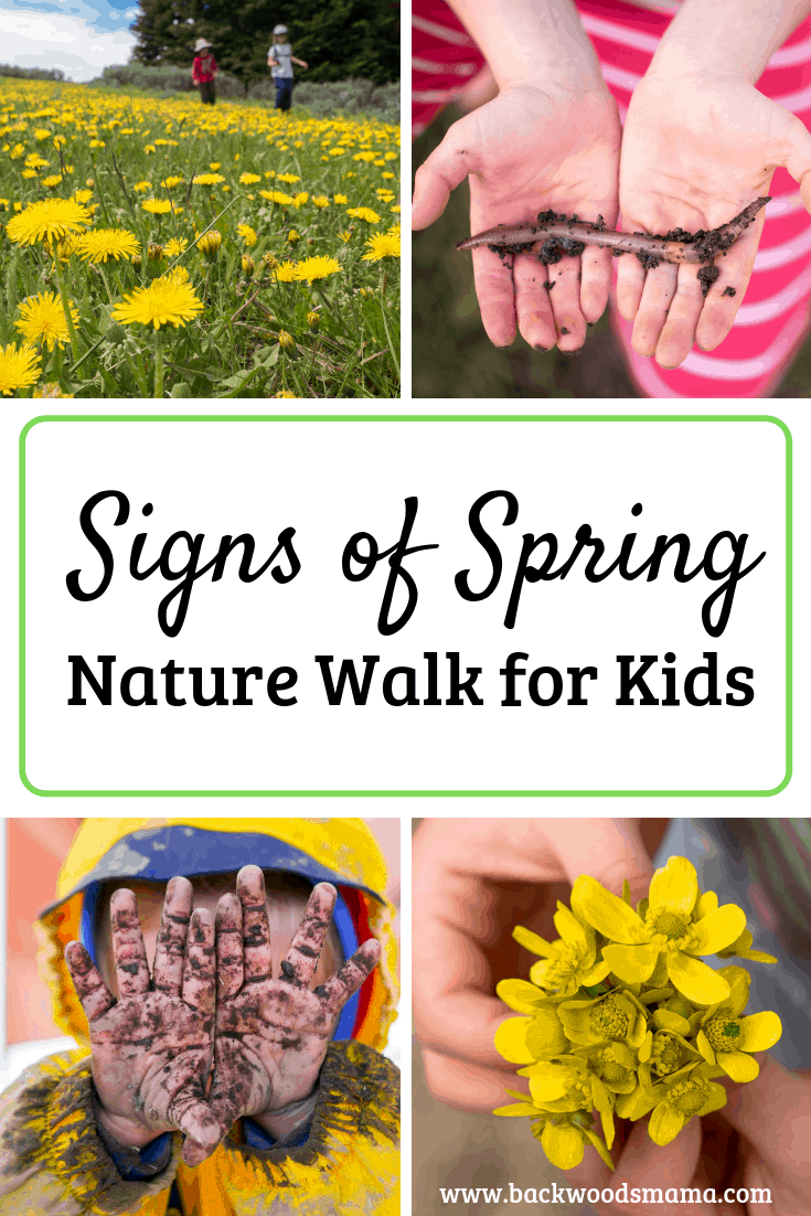 Spring Nature Walk for Kids