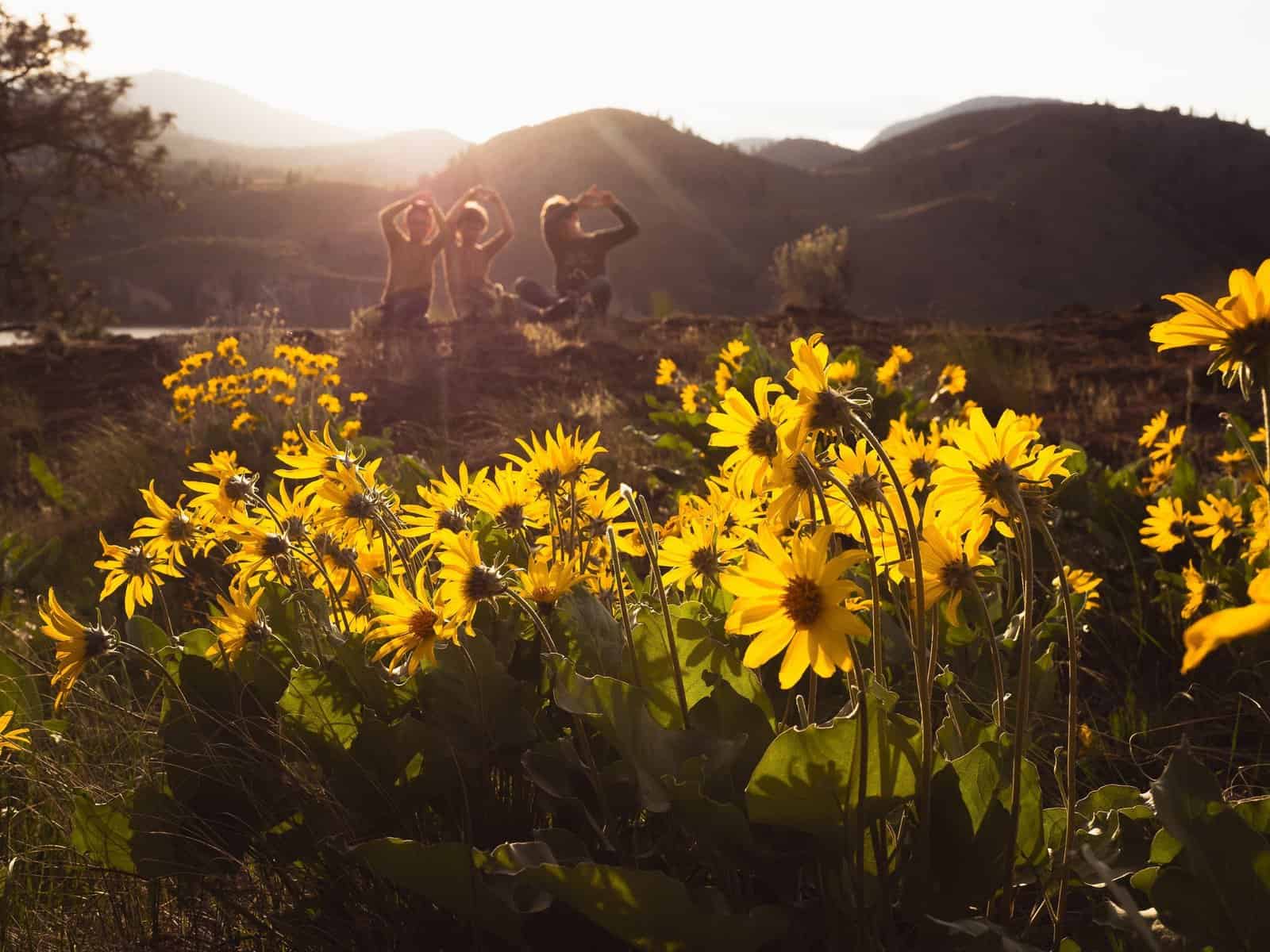 9 Special Ways to Celebrate Summer Solstice with Kids