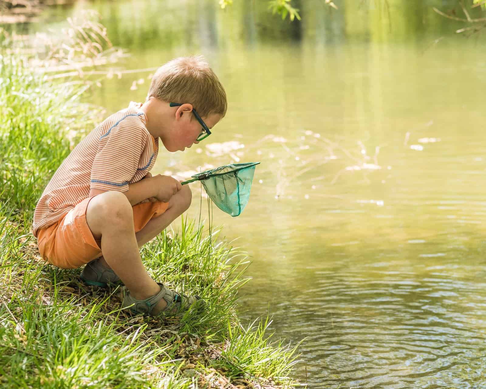 A Beginner’s Guide to Pond Dipping with Kids
