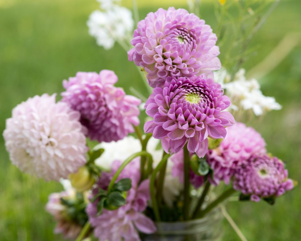 How to Make a Willow Nature Crown with Your Child by Backwoods Mama