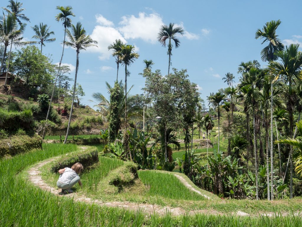 Visiting Bali with Kids - Is It Worth It? by Backwoods Mama Josée Bergeron