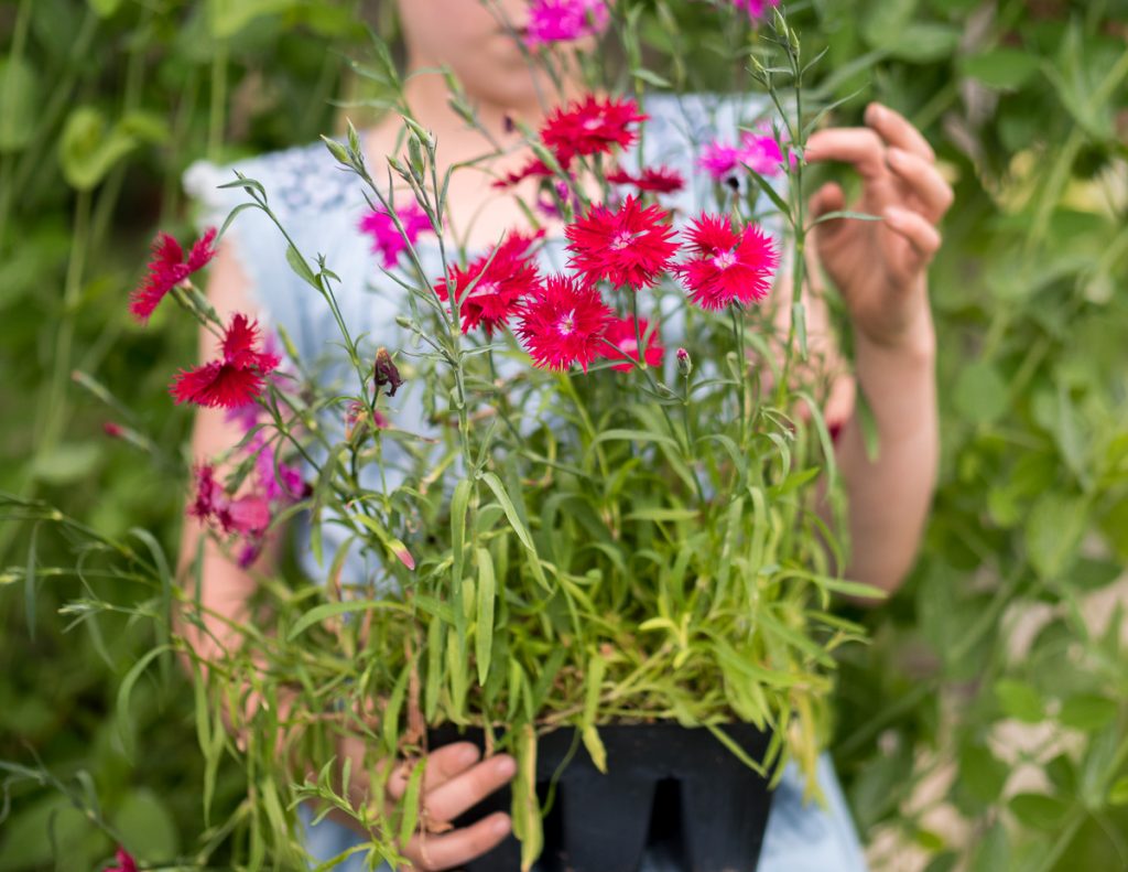 50+ Spring Nature Activities for Kids of All Ages by Backwoods Mama Josée Bergeron