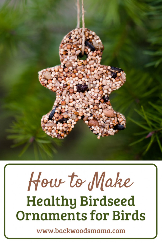 How to Make Birdseed Ornaments for Wild Birds by Backwoods Mama