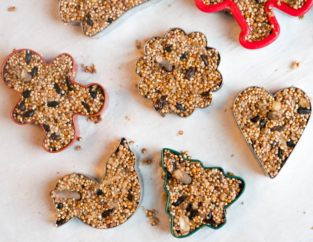 How to Make Birdseed Ornaments for Wild Birds by Backwoods Mama